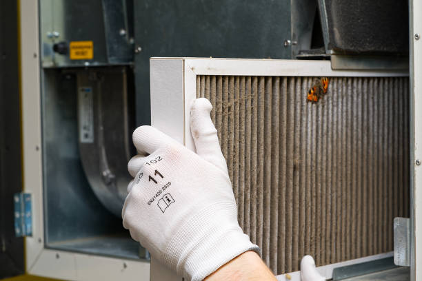 Best Ductwork Cleaning Services  in Kings Park West, VA
