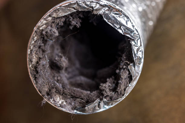 Best Residential Air Duct Cleaning  in Kings Park West, VA